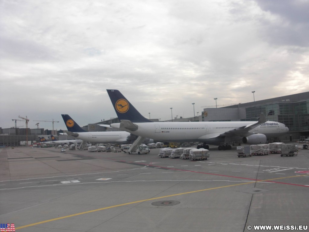 Zwischenstop in Frankfurt. Hier steigen wir um und setzen unsere Reise nach ca. 1 Stunde Wartezeit in einem größeren Flugzeug fort. In der zwischenzeit sehen wir uns am Flughafen etwas um.. - Flughafen, Flugzeug, Frankfurt, Lufthansa, Flugzeuge - (Frankfurt International Airport, Frankfurt am Main, Hessen, Deutschland)