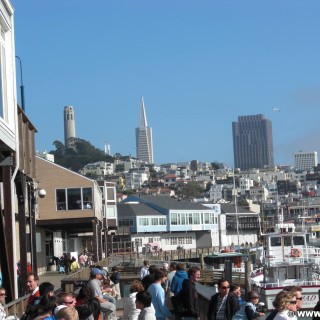 San Francisco. Pier 39. - Westküste, Fishermans Wharf, Coit Tower, Pier 39, Transamerica Pyramid, San Francisco - (Fisherman's Wharf, San Francisco, California, Vereinigte Staaten)