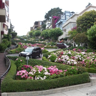 San Francisco. Lombard Street. - Westküste, Einbahnstraße, Gefälle, kurvenreich, Russian Hill Park, Serpentinen, Strasse, Lombard Street, San Francisco - (Russian Hill, San Francisco, California, Vereinigte Staaten)