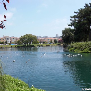 San Francisco. - Westküste, Palace of Fine Arts, San Francisco - (Marina District, San Francisco, California, Vereinigte Staaten)