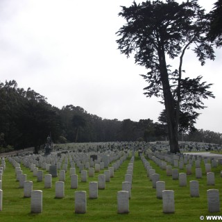 San Francisco. - Westküste, Presidio, Golden Gate National Cemetery, Nationalfriedhof, Grabstein, Grabsteine, San Francisco - (Fort Winfield Scott, San Francisco, California, Vereinigte Staaten)