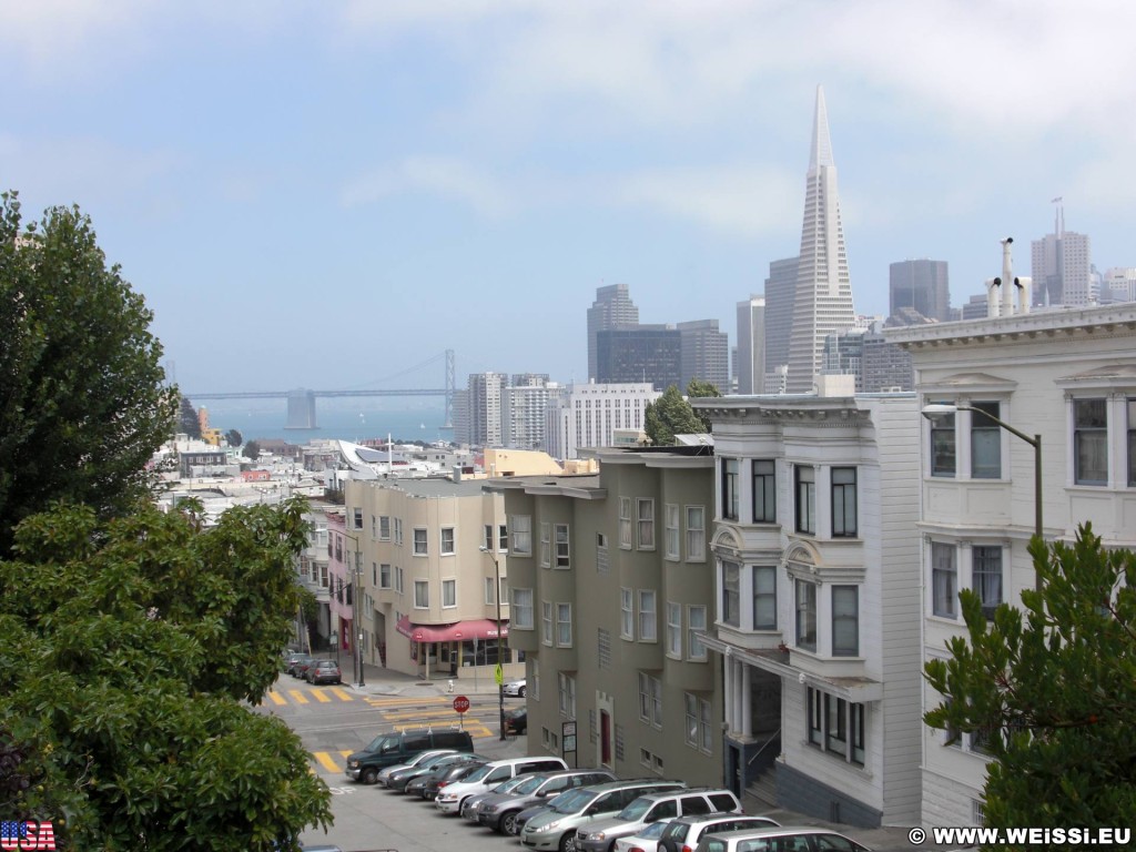 San Francisco. - Westküste, Transamerica Pyramid, Brücke, Skyline, Oakland Bay Bridge, Wolkenkratzer, San Francisco - (Little Italy, San Francisco, California, Vereinigte Staaten)