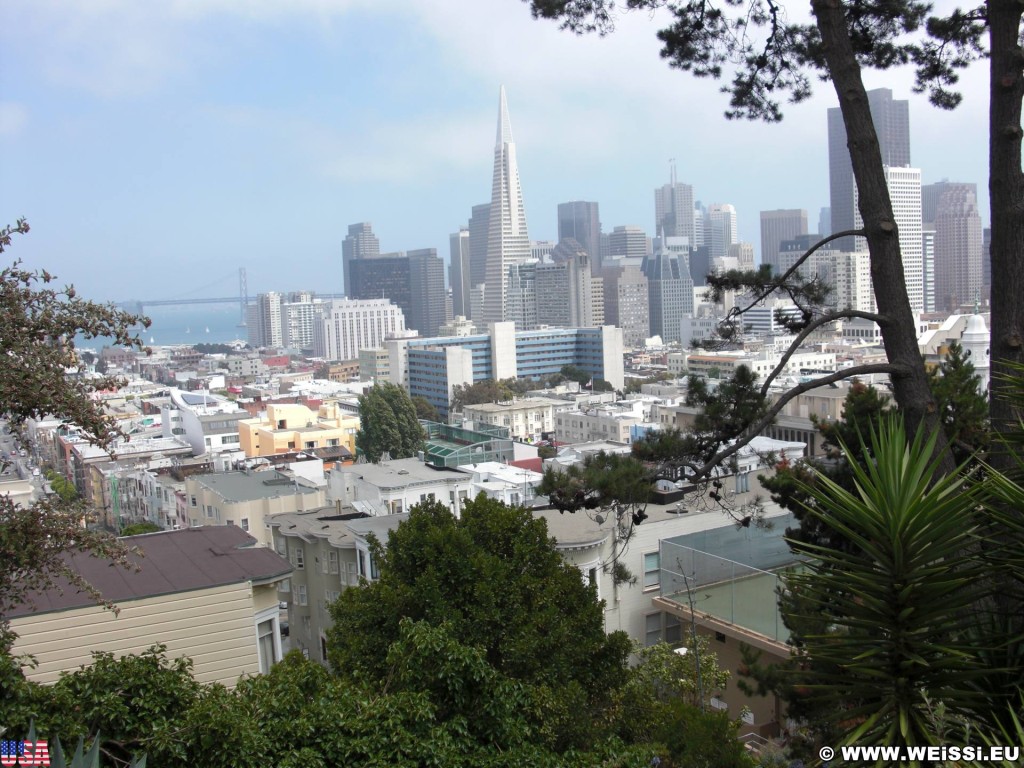 San Francisco. - Westküste, Transamerica Pyramid, Skyline, Oakland Bay Bridge, San Francisco - (Little Italy, San Francisco, California, Vereinigte Staaten)