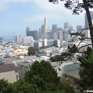 San Francisco. - Westküste, Transamerica Pyramid, Skyline, Oakland Bay Bridge, San Francisco - (Little Italy, San Francisco, California, Vereinigte Staaten)