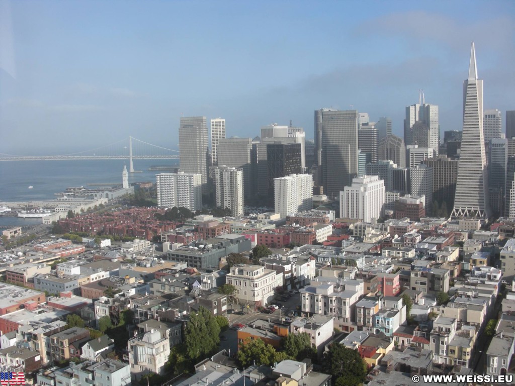 San Francisco. Ausblick vom Coit Tower. - Westküste, Transamerica Pyramid, Brücke, Skyline, Oakland Bay Bridge, Ausblick, Wolkenkratzer, San Francisco - (Little Italy, San Francisco, California, Vereinigte Staaten)