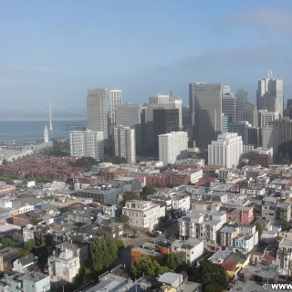 San Francisco. Ausblick vom Coit Tower. - Westküste, Transamerica Pyramid, Brücke, Skyline, Oakland Bay Bridge, Ausblick, Wolkenkratzer, San Francisco - (Little Italy, San Francisco, California, Vereinigte Staaten)