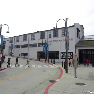 Monterey. - Westküste, Gebäude, Bay Aquarium, Eingangsbereich, Personen, Monterey - LUTZER Sandra, WEISSINGER Andreas, WEISSINGER Edeltraud - (New Monterey, Monterey, California, Vereinigte Staaten)