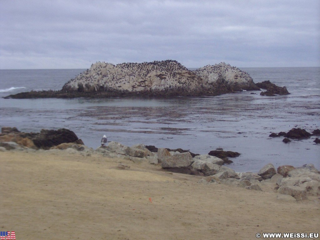 17-Mile Drive. - Westküste, 17-Mile Drive, Del Monte Forest, Bird Rock, Monterey