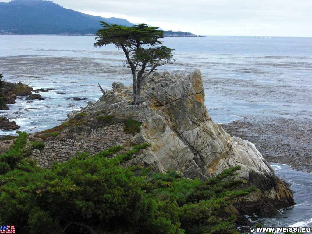 17-Mile Drive. - Westküste, 17-Mile Drive, Del Monte Forest, Lone Cypress, Monterey - (Pebble Beach, California, Vereinigte Staaten)