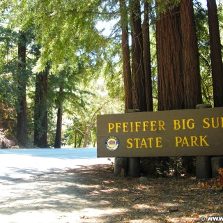 Highway 1 - California State Route 1. - Westküste, Schild, Big Sur, Tafel, Ankünder, Julia Pfeiffer Burns State Park, Highway 1, California State Route 1 - (Big Sur, California, Vereinigte Staaten)