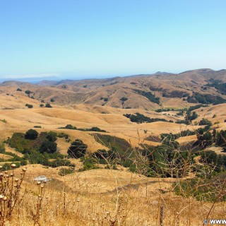 On the road. - Westküste, Landschaft, Green Valley Road - (Harmony, Cayucos, California, Vereinigte Staaten)