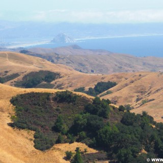 On the road. Morro Rock. - Westküste, Landschaft, Meer, Pazifik, Green Valley Road, Felsen, Morro Rock - (Klau, Cayucos, California, Vereinigte Staaten)