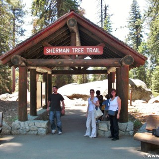 Sequoia National Park. - Sequoia Nationalpark, Sherman Tree Trail, Personen - LUTZER Sandra, WEISSINGER Edeltraud - (Pinewood, Sequoia National Park, California, Vereinigte Staaten)