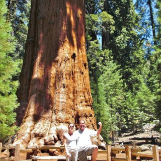 Sequoia National Park. - Sequoia Nationalpark, Mammutbaum, Baum, Mammutbäume, Baumstamm, Sherman Tree Trail, General Sherman Tree, Personen - LUTZER Sandra, WEISSINGER Andreas - (Pinewood, Sequoia National Park, California, Vereinigte Staaten)