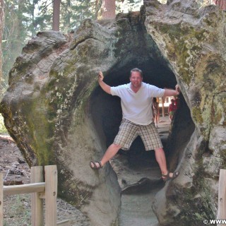 Sequoia National Park. - Sequoia Nationalpark, Mammutbaum, Baumstamm, Personen - WEISSINGER Andreas - (Grant Grove Village, Hume, California, Vereinigte Staaten)