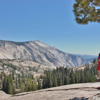Yosemite National Park. - Yosemite Nationalpark, Aussichtspunkt, Tioga Pass, Olmsted Point - (Curry Village, Yosemite National Park, California, Vereinigte Staaten)