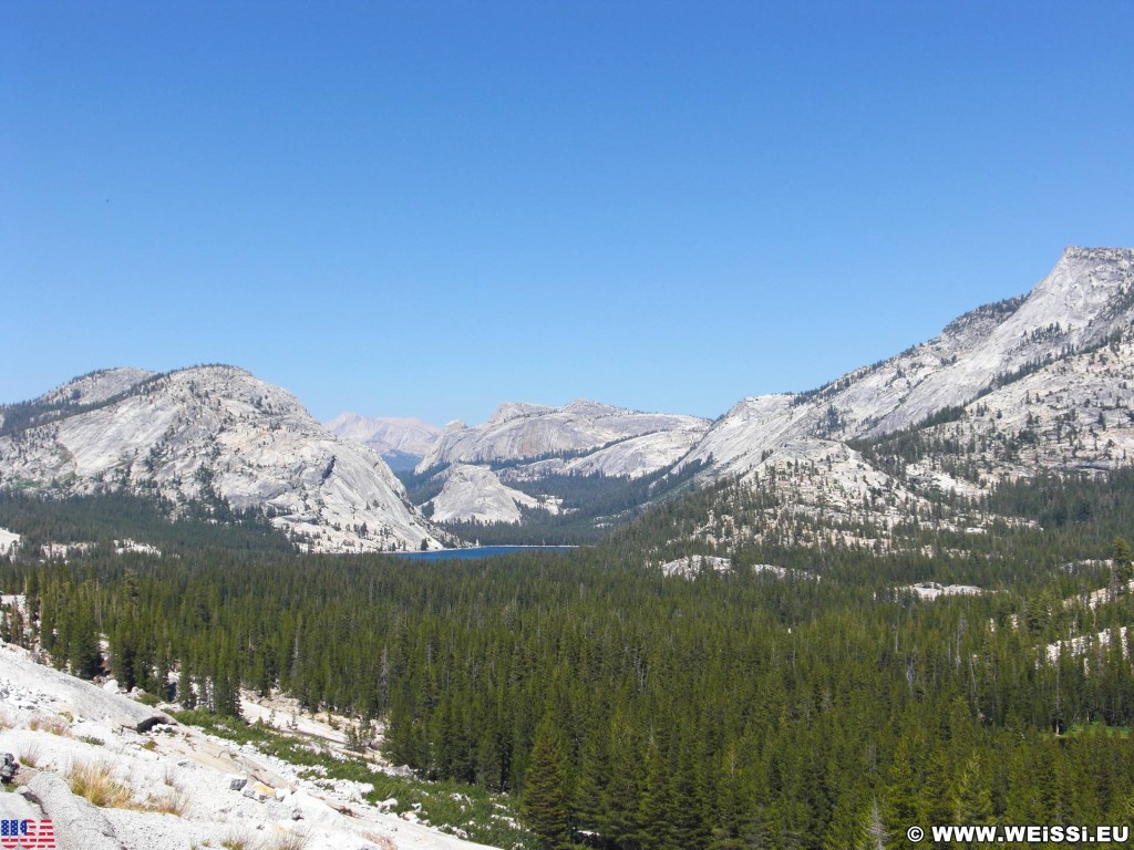 Yosemite National Park. - See, Yosemite Nationalpark, Aussichtspunkt, Tioga Pass, Gebirgssee, Tenaya Lake - (Curry Village, Yosemite National Park, California, Vereinigte Staaten)