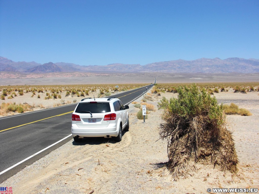 Death Valley National Park. - Death-Valley-Nationalpark, Devils Cornfield - (Beatty Junction, Death Valley, California, Vereinigte Staaten)