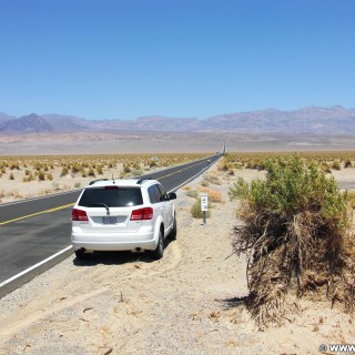Death Valley National Park. - Death-Valley-Nationalpark, Devils Cornfield - (Beatty Junction, Death Valley, California, Vereinigte Staaten)