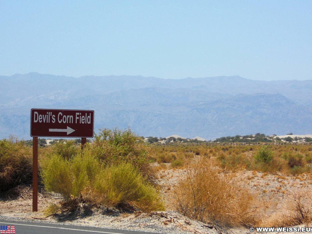 Death Valley National Park. - Schild, Tafel, Wegweiser, Death-Valley-Nationalpark, Devils Cornfield - (Beatty Junction, Death Valley, California, Vereinigte Staaten)