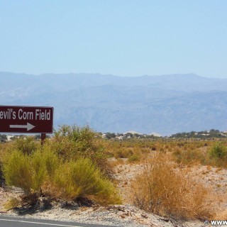 Death Valley National Park. - Schild, Tafel, Wegweiser, Death-Valley-Nationalpark, Devils Cornfield - (Beatty Junction, Death Valley, California, Vereinigte Staaten)