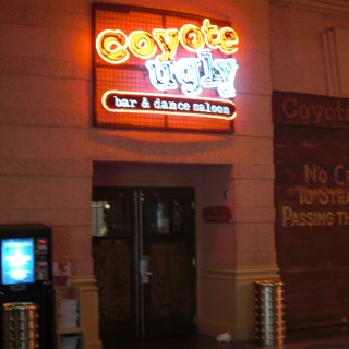 Las Vegas. - Las Vegas, Bar, Coyote Ugly, Dance Saloon - (Bracken, Las Vegas, Nevada, Vereinigte Staaten)