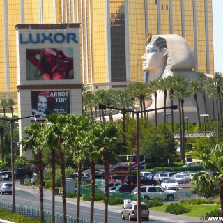 Las Vegas. - Gebäude, Strasse, Werbeschild, Werbeschrift, Las Vegas, Videowall, Fassade, Skulptur, Statue, Mandalay Bay Resort, Werbeturm, Sphinx, Luxor Hotel - (Bracken, Las Vegas, Nevada, Vereinigte Staaten)