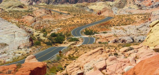 Valley of Fire State Park. Rainbow Vista - Valley of Fire State Park. - Strasse, Landschaft, Felsen, Felsformation, Valley of Fire State Park, Sandstein, Sandsteinformationen, Erosion, Rainbow Vista - (Valley of Fire State Park, Overton, Nevada, Vereinigte Staaten)