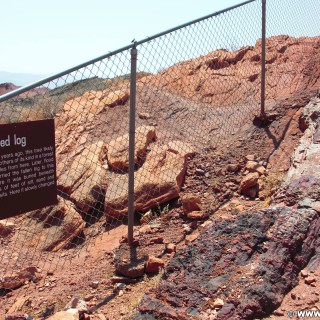 Valley of Fire State Park. Petrified Log - Valley of Fire State Park. - Schild, Tafel, Ankünder, Valley of Fire State Park, Petrified Log - (Valley of Fire State Park, Overton, Nevada, Vereinigte Staaten)