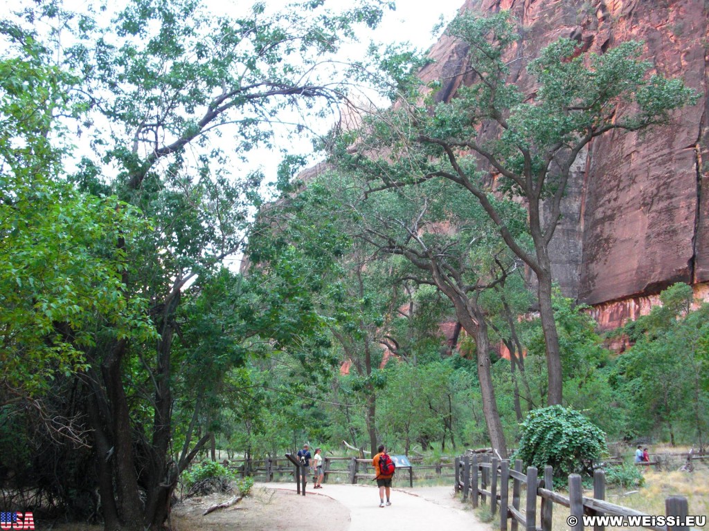 Zion National Park. - Zion National Park, Temple of Sinawava - (Zion Lodge, Virgin, Utah, Vereinigte Staaten)