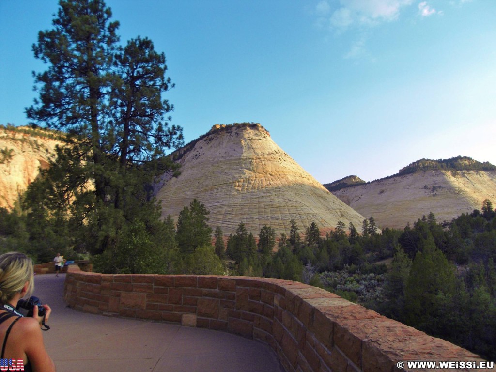 Zion National Park. Checkerboard Mesa - Zion National Park. - Berg, Sandstein, Zion National Park, Checkerboard Mesa, Tafelberg - (Zion Lodge, Mount Carmel, Utah, Vereinigte Staaten)