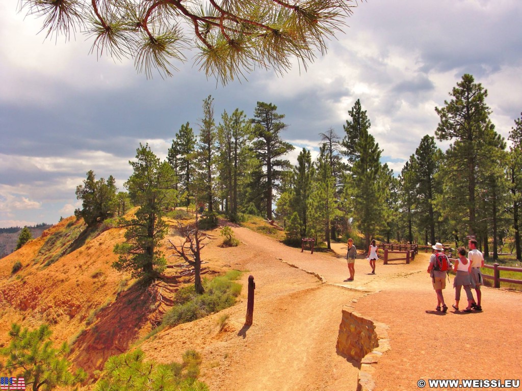 Bryce Canyon National Park. Sunrise Point - Bryce Canyon National Park. - Landschaft, Sandstein, Sandsteinformationen, Bryce Canyon National Park, Sunrise Point - (Bryce Canyon, Utah, Vereinigte Staaten)