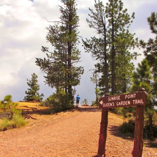 Bryce Canyon National Park. Sunrise Point - Bryce Canyon National Park. - Schild, Landschaft, Tafel, Ankünder, Sandstein, Sandsteinformationen, Bryce Canyon National Park, Sunrise Point - (Bryce Canyon, Utah, Vereinigte Staaten)