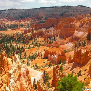 Bryce Canyon National Park. Sunrise Point - Bryce Canyon National Park. - Landschaft, Felsen, Sandstein, Sandsteinformationen, Bryce Canyon National Park, Sunrise Point, Hoodoos, Felsnadeln - (Bryce Canyon, Utah, Vereinigte Staaten)