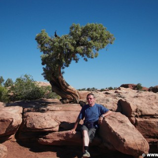 Dead Horse Point State Park. Basin Overlook - Dead Horse Point State Park. - Aussichtspunkt, State Park, Dead Horse Point State Park, East Rim, Overlook, Basin Overlook - WEISSINGER Erwin - (Moab, Utah, Vereinigte Staaten)