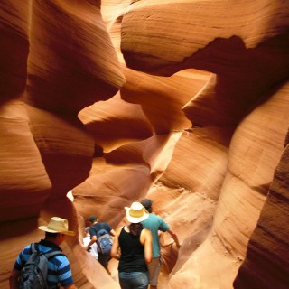 Lower Antelope Canyon. - Sandstein, Canyon, Schlucht, Antelope Canyon, Lower Antelope Canyon, Slot Canyon - (Page, Arizona, Vereinigte Staaten)