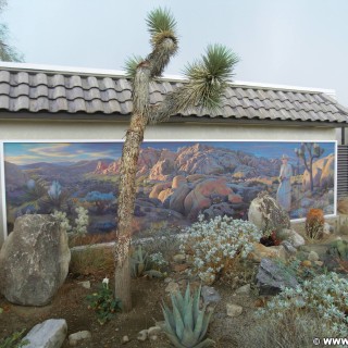 Joshua Tree National Park. - Wandmalerei, Mural, National Park, Joshua Tree National Park - (Twentynine Palms, California, Vereinigte Staaten)