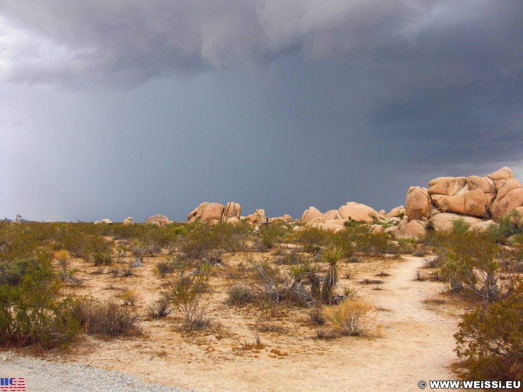 Joshua Tree National Park. - Landschaft, National Park, Joshua Tree National Park - (Joshua Tree National Park, Twentynine Palms, California, Vereinigte Staaten)