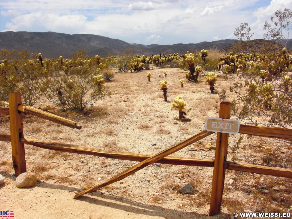 Joshua Tree National Park. Cholla Cactus Garden - Joshua Tree National Park. - Schild, Landschaft, Tafel, National Park, Joshua Tree National Park, Cholla Cactus Garden - (Joshua Tree National Park, Indio, California, Vereinigte Staaten)