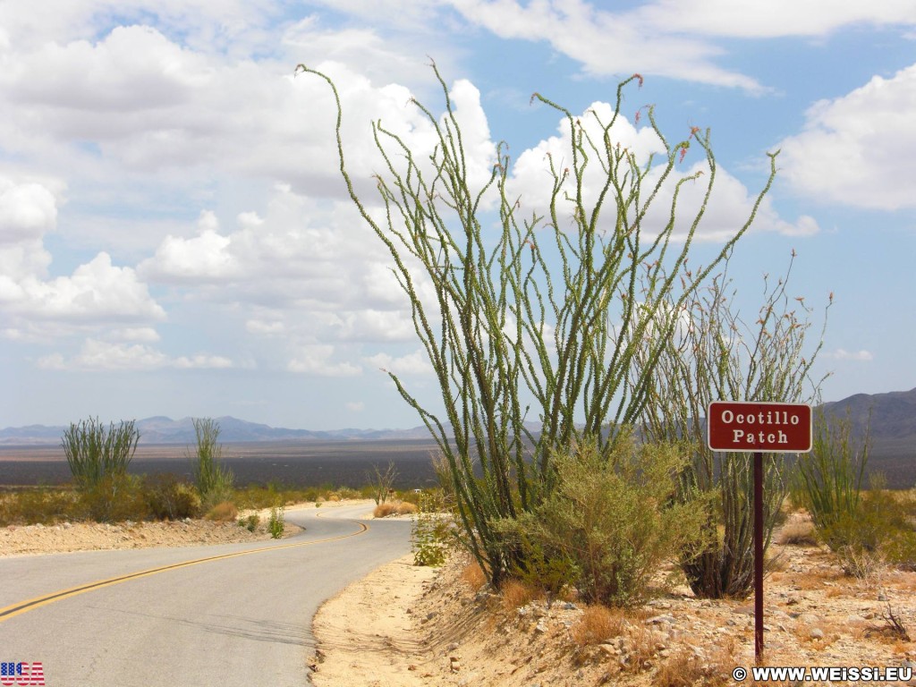 Joshua Tree National Park. - Schild, Tafel, National Park, Joshua Tree National Park, Ocotillo Patch - (Joshua Tree National Park, Indio, California, Vereinigte Staaten)