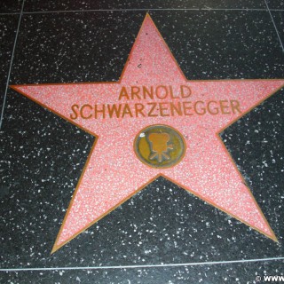 Los Angeles. Walk of Fame - Los Angeles. - Walk of Fame, Hollywood, Arnold Schwarzenegger - (Hollywood, Los Angeles, California, Vereinigte Staaten)