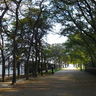 Olive Park. - Cityfront Place, Milton Lee Olive Park - (Cityfront Place, Chicago, Illinois, Vereinigte Staaten)