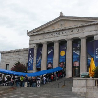 Shedd Aquarium. - Gebäude, Park Row, Shedd Aquarium - (Park Row, Chicago, Illinois, Vereinigte Staaten)