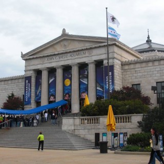 Shedd Aquarium. - Gebäude, Park Row, Shedd Aquarium - (Park Row, Chicago, Illinois, Vereinigte Staaten)