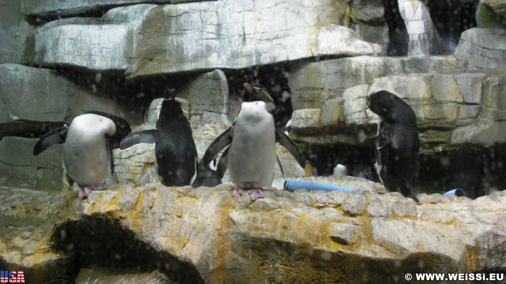 Shedd Aquarium. - Central Station, Shedd Aquarium - (Central Station, Chicago, Illinois, Vereinigte Staaten)