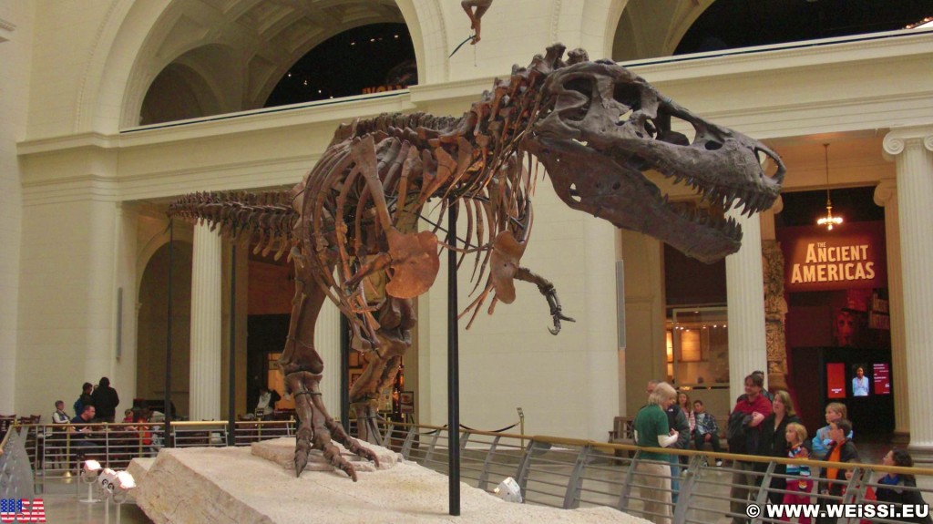 Field Museum of Natural History. - Dinosaurier, Park Row, Field Museum of Natural History, Field Museum, Skelett, Tyrannosaurus rex - (Park Row, Chicago, Illinois, Vereinigte Staaten)