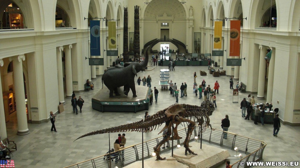 Field Museum of Natural History. - Dinosaurier, Central Station, Field Museum of Natural History, Field Museum, Skelett, Tyrannosaurus rex - (Central Station, Chicago, Illinois, Vereinigte Staaten)