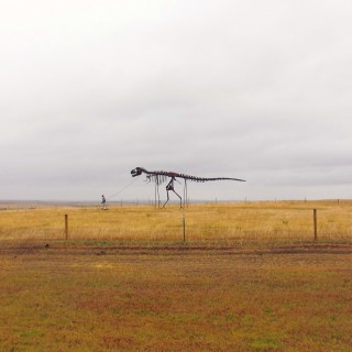 On the Road. Gassi gehen mal anders.... - Skulptur, Statue, Skulpturen, Figuren, Dino, Dinosaurier, Skelett, Tyrannosaurus rex, Midland, Stamford, Metallfiguren, T-Rex, Clarence Hullinger, Altmetall - (Stamford, Midland, South Dakota, Vereinigte Staaten)