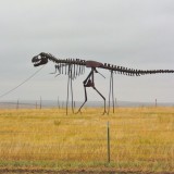 On the Road. Gassi gehen mal anders.... - Skulptur, Statue, Skulpturen, Figuren, Dino, Dinosaurier, Skelett, Tyrannosaurus rex, Midland, Stamford, Metallfiguren, T-Rex, Clarence Hullinger, Altmetall - (Stamford, Midland, South Dakota, Vereinigte Staaten)