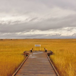 Badlands-Nationalpark. Prairie Wind Overlook - Badlands-Nationalpark. - Schild, Landschaft, Tafel, National Park, Badlands-Nationalpark, Badlands Loop Road, Holz-Weg, Weg, Pfad, Prairie Wind Overlook - (Conata, Wall, South Dakota, Vereinigte Staaten)